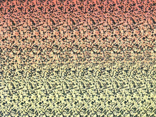 8684 (a): :1024x768